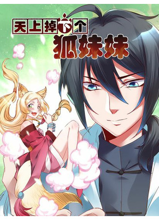 A Fox Girl Fell From The Sky