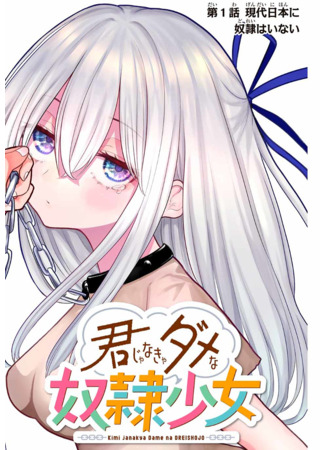 Kimi ja Nakya Dame na Dorei Shoujo