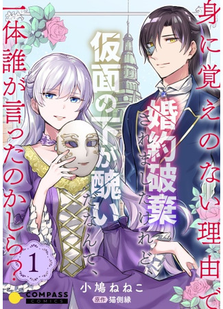 My Engagement Was Called off Under False Accusations, but Who Ever Said My Face Was Ugly Beneath the Mask?