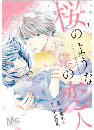 Sakura no You na Boku no Koibito