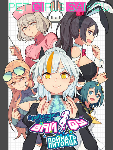 The Correct Way To Catch Pet Waifus