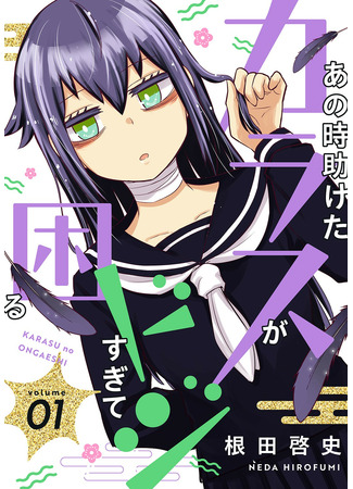 The Crow I Saved That One Time, Is Just Too Clumsy for Me