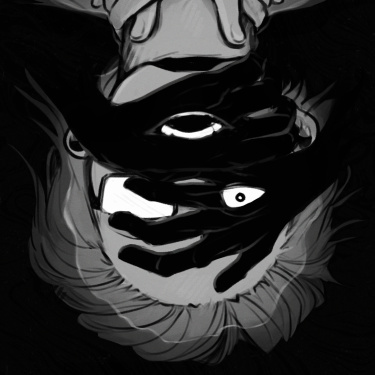 The Interpretation of Shadows