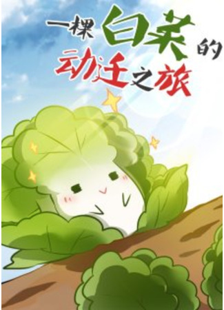 The relocation journey of a cabbage