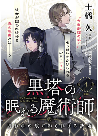 The Sleeping Witch in the Black Tower