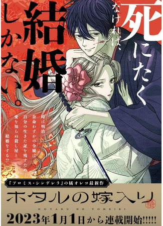 Wedding of Fireflies