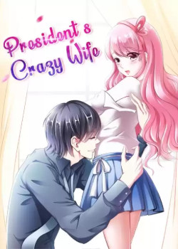 Zǒngtǒng de fēngkuáng qīzi